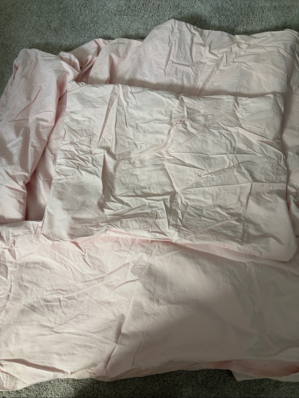 Pottery Barn Teen Pale Pink Sheet and Pillowcase Set